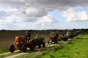 Erntefest 2015
